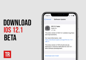 Download-iOS-12-1-beta