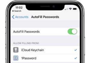 How Auto Fill Passwords Work in iOS 12